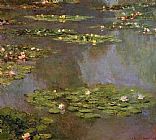 Water-Lilies 05